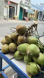 Hình ảnh Dừa trái