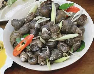 Hình ảnh Ốc vặn luộc mắm tiêu
