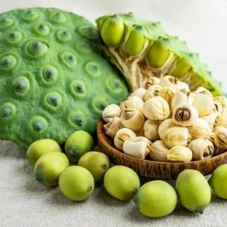 Hình ảnh THÊM HẠT SEN