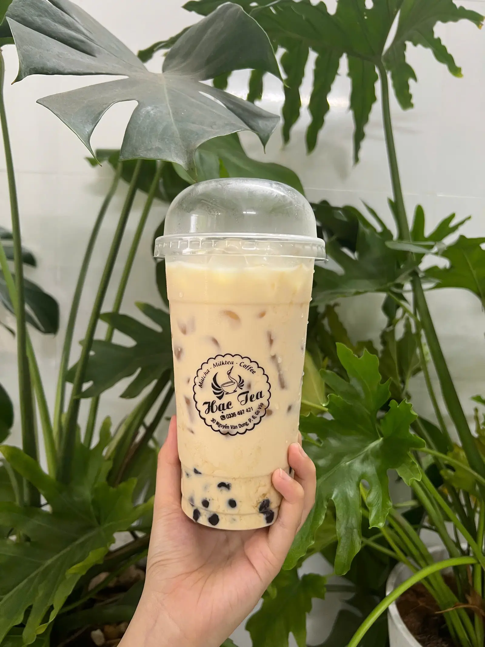 Hình ảnh Trà sữa nhài