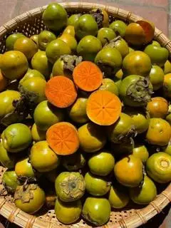 Hình ảnh Hồng Ngâm Giòn Ngọt