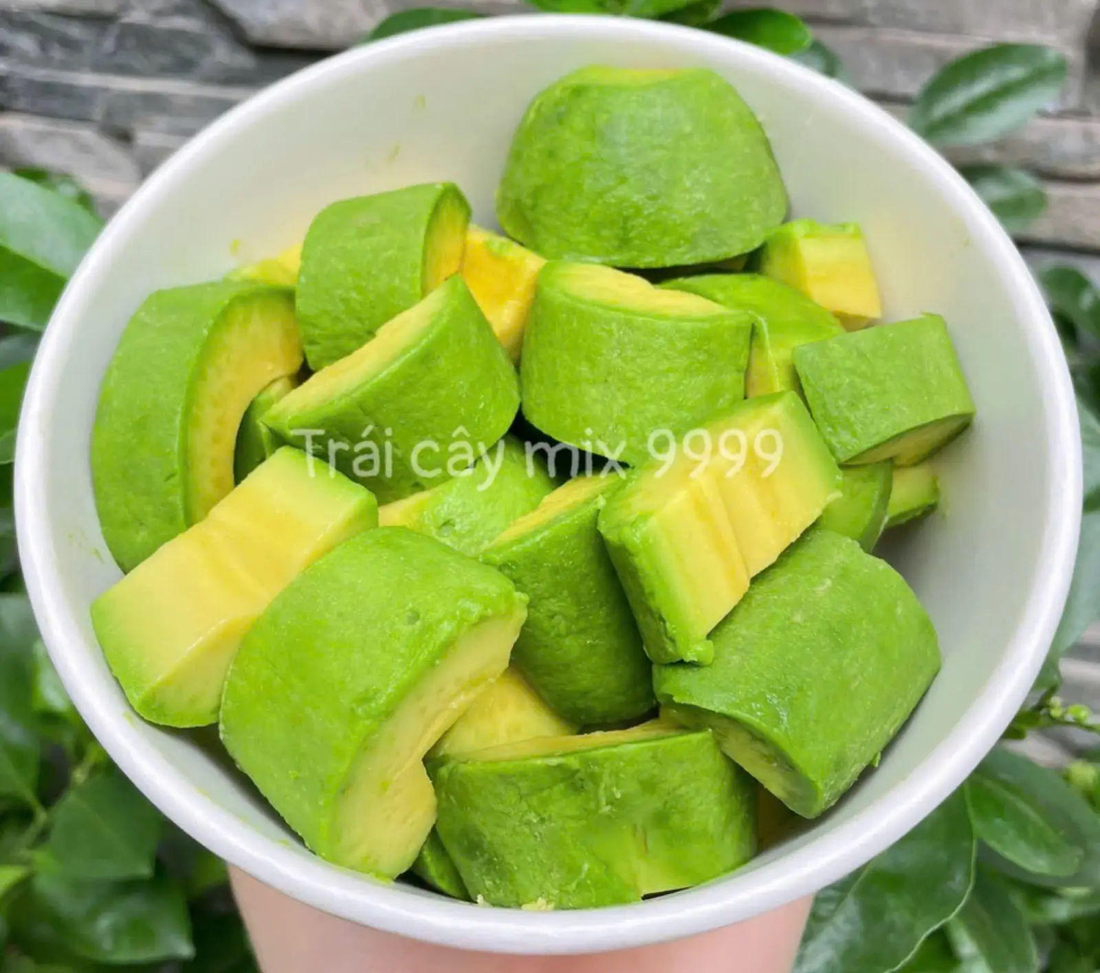 Hình ảnh Bơ dầm 