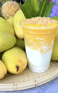 Hình ảnh XOÀI GIÀ DỪA NON