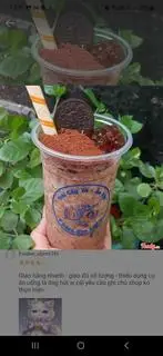 Hình ảnh milo dằm truyền thống
