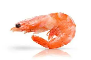 Hình ảnh Tôm thêm