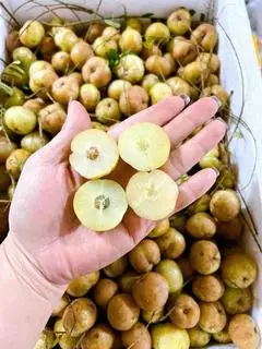 Hình ảnh Mắc Kham