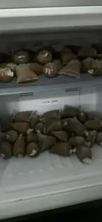 Hình ảnh Milo cacao