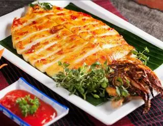 Hình ảnh Mực Lá 