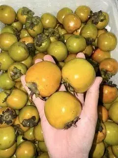 Hình ảnh 500gr hồng ngâm giòn Lạng Sơn
