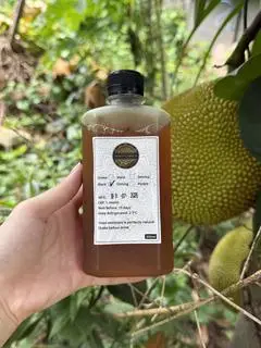 Hình ảnh Kombucha hồng trà - 300ml