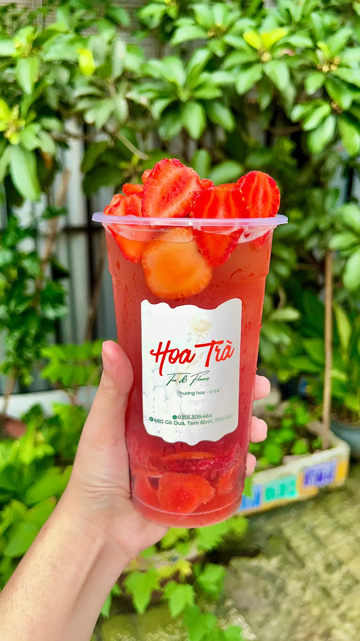 Hình ảnh Trà dâu