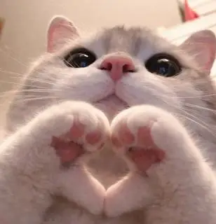 Hình ảnh Note to me các tìh iu