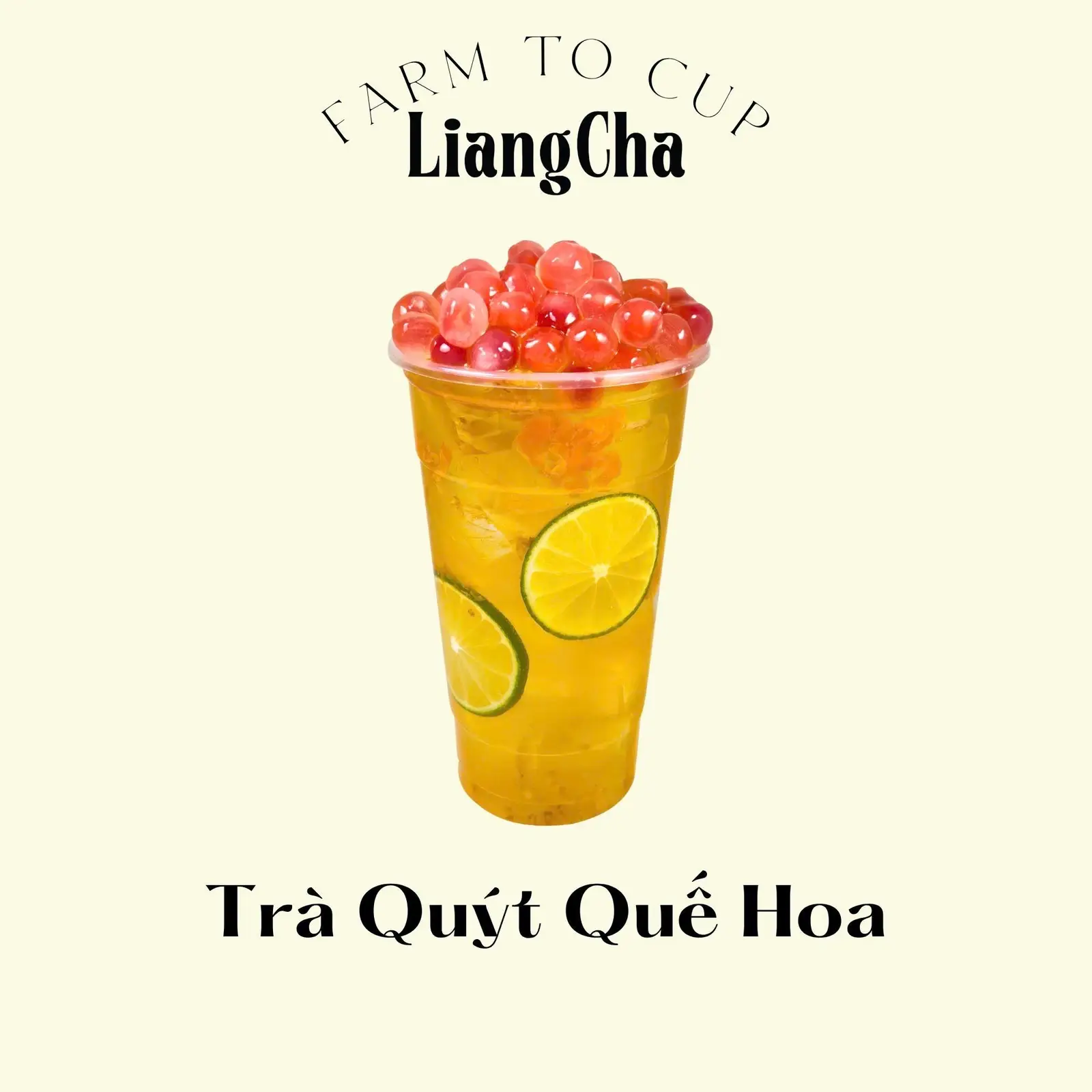 Hình ảnh Trà quýt quế hoa