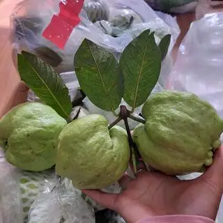 Hình ảnh ỔI NỮ HOÀNG