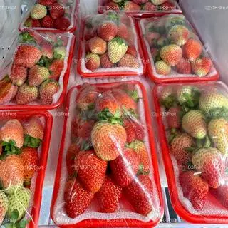 Hình ảnh Dâu tây 1 khay 200G đến 250G 