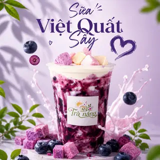 Hình ảnh Sữa việt quất sấy - size L