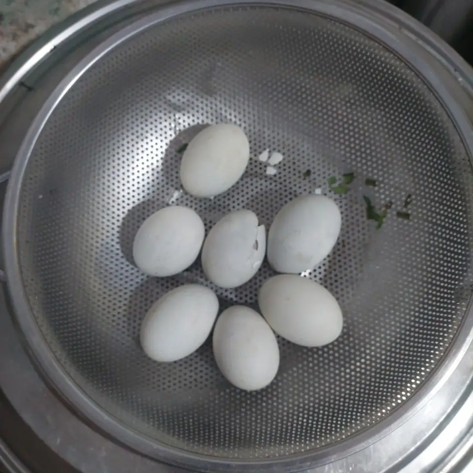 Hình ảnh TRỨNG VỊT LỘN