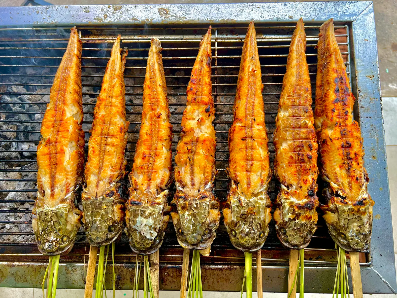 Hình ảnh Combo 2 con cá size vừa