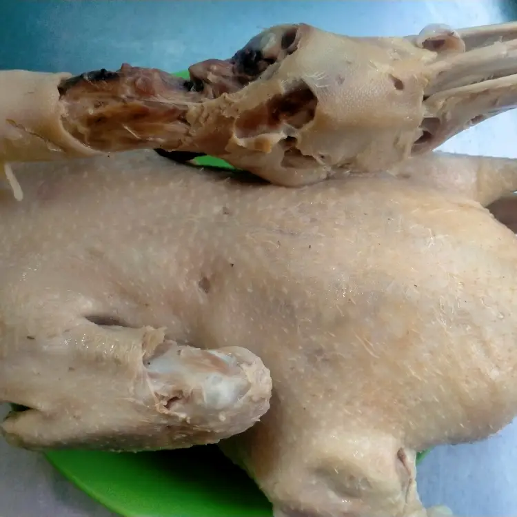 Hình ảnh vịt 1 con + gỏi 