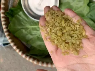 Hình ảnh Cốm sấy khô gói 500g hút chân không