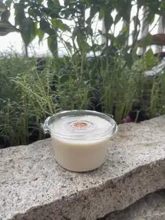 Hình ảnh Sữa chua bá cháy