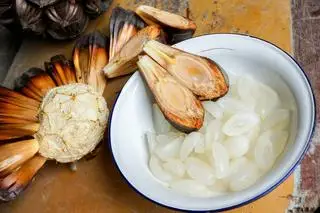 Hình ảnh Dừa nước