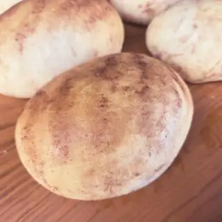 Hình ảnh bánh mì khoai môn 