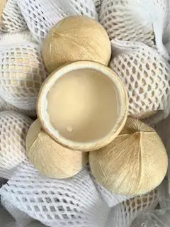 Hình ảnh Combo dừa size nhỏ