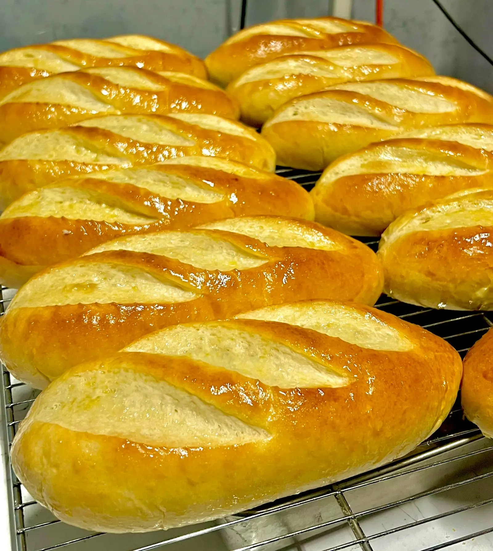 Hình ảnh Hoagie roll (22-24cm)
