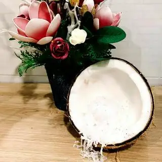 Hình ảnh Dừa sợi