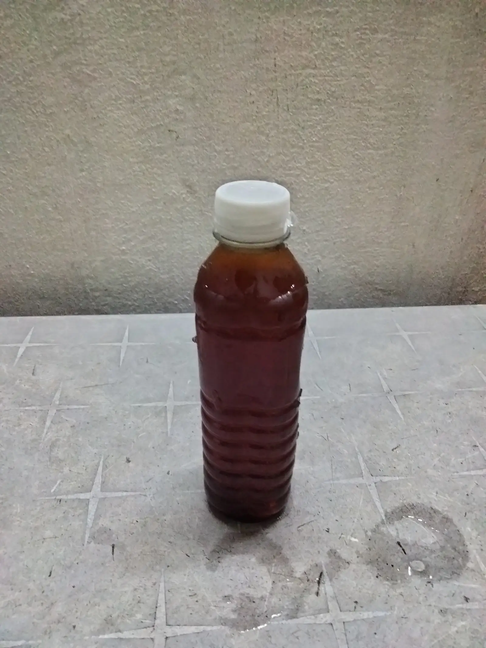 Hình ảnh sâm lạnh nhà nấu đường phèn 