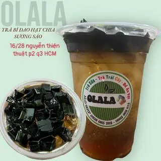 Hình ảnh trà bí đao hạt chia sương sáo size L