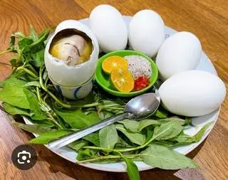 Hình ảnh HỘT VỊT LỘN 