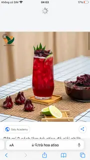 Hình ảnh Trà hoa atiso