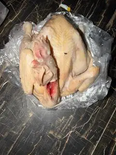 Hình ảnh gà ta 160k gần 2kg