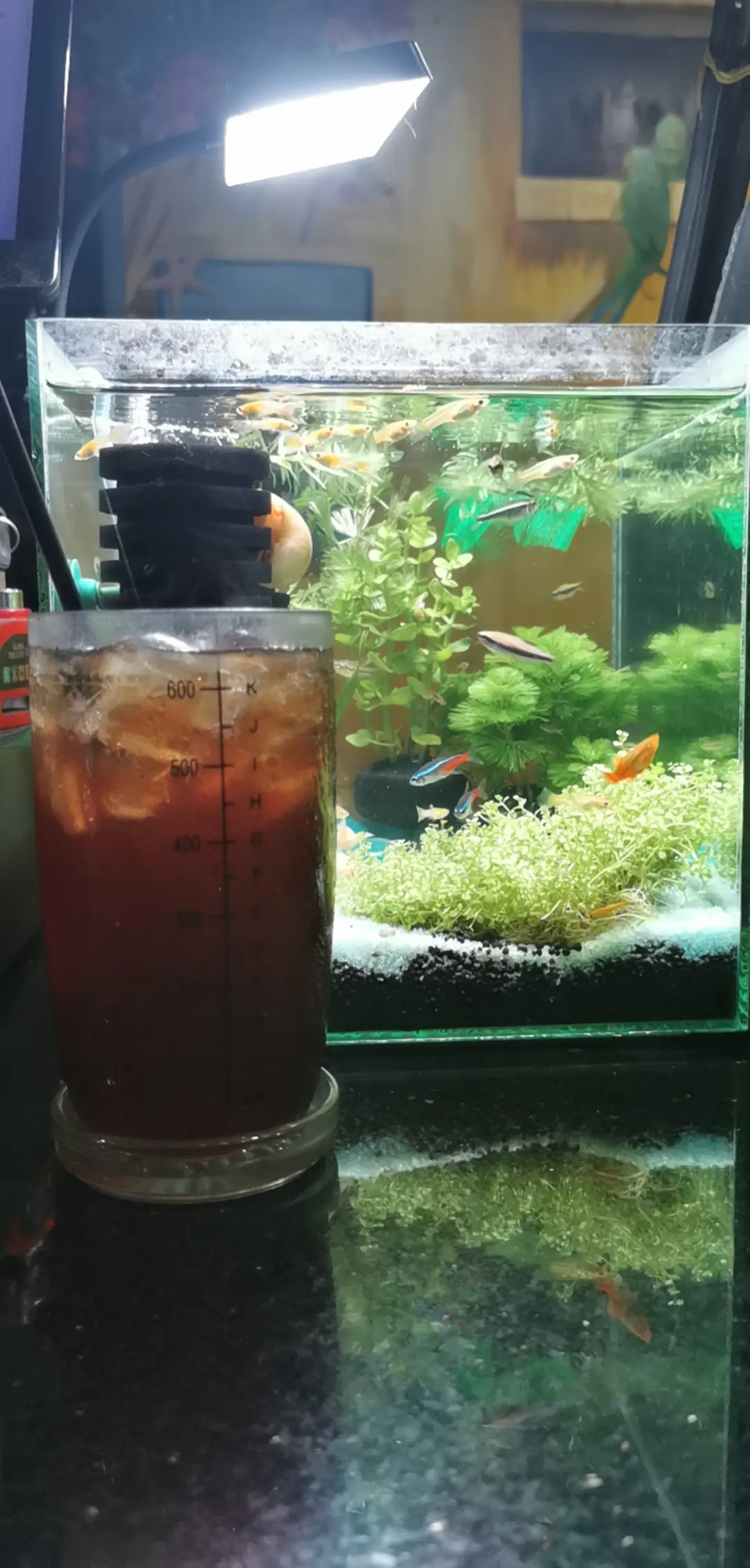 Hình ảnh Long black