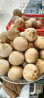 Hình ảnh DỪA XIÊM TRỌC KHÔNG TẨY, Sz 500-600g