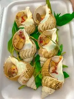 Hình ảnh Ốc Bulot