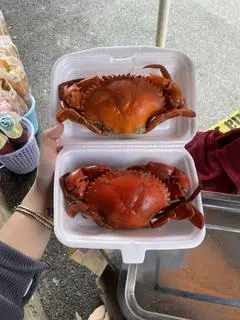 Hình ảnh Cua Thịt Hấp - Size Đại 