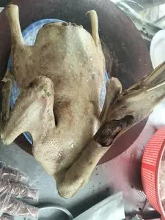 Hình ảnh Combo một con vịt - gỏi - cháo