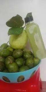 Hình ảnh Cóc ổi