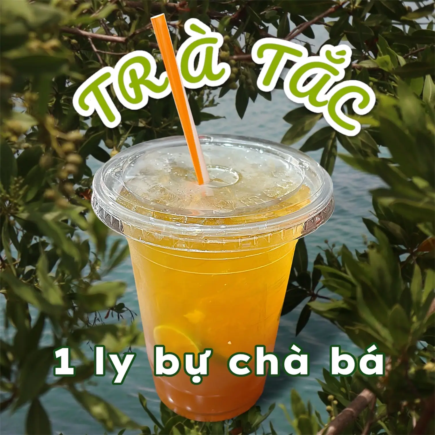 Hình ảnh Trà Tắc