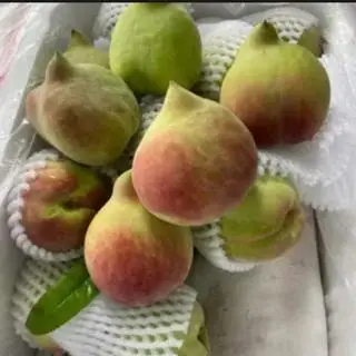 Hình ảnh Đào mỏ quạ 