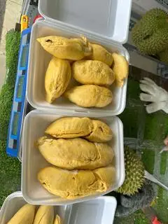 Hình ảnh Sầu Riêng Cơm Ri 6 Miền Tây