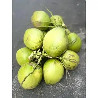 Hình ảnh Dừa Xiêm Mã Lai