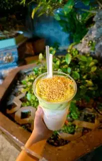 Hình ảnh bơ già dừa non