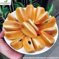 Hình ảnh Hồng xiêm cắt sẵn 350gr