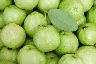 Hình ảnh Nước ép ổi