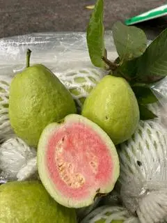 Hình ảnh Ổi Đào Vân Nam