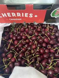 Hình ảnh Cherry Canada S9.5- kg